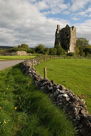 <span class="mw-page-title-main">Cullahill Castle</span> Ruined castle in County Laois, Ireland