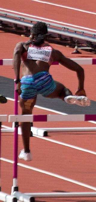 <span class="mw-page-title-main">Odile Ahouanwanou</span> Beninese athlete