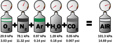 An illustration of Dalton's law using the gases of air at sea level. Dalton's law of partial pressures.svg