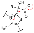 Decarboxylierung alpha-Ketosäure Schritt 2.svg