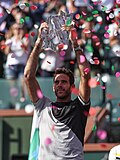 Thumbnail for Juan Martín del Potro