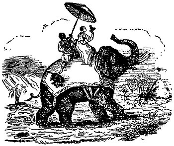 Deux personnes sur un éléphant