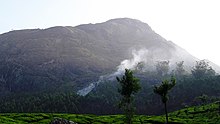 Devimala Devikulam Green Carpet - panoramio (5).jpg