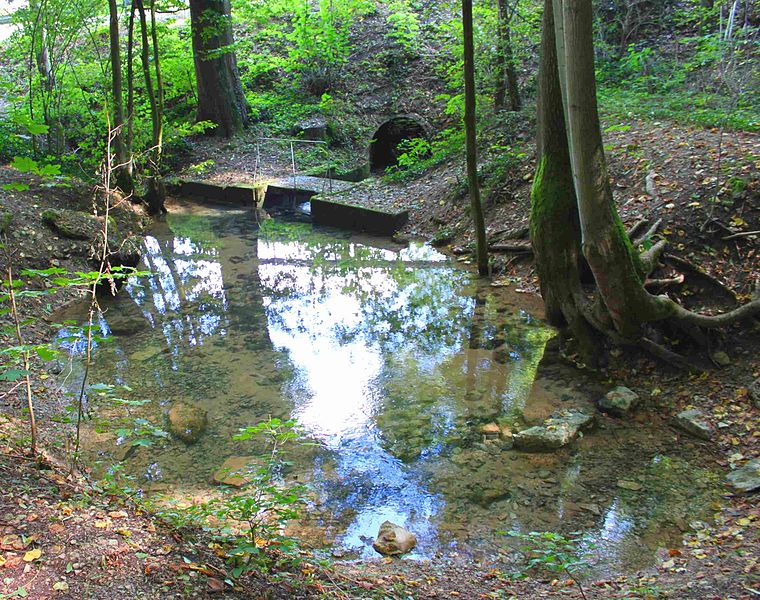 File:Die Friesenbachquelle ist eine Karstquelle und zählt zu den stärksten Quellen in Oberfranken.jpg