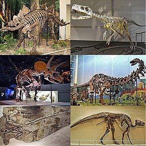 Dinosauria montage 3.jpg