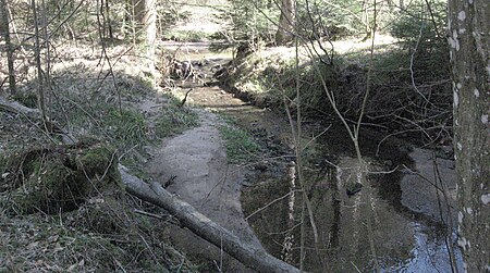 Dollesbach vor der Mündung