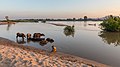 13. A Mekong folyó partja naplementekor Don Puay szigetéről (Si Phan Don, Laosz) (javítás)/(csere)