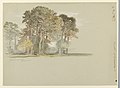 Drawing, "The Pine Trees of El Monte," California., April 10, 1898 (CH 18369127).jpg
