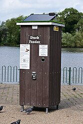 An automatic duck feed dispenser at the Boating Lake in East Park, Kingston upon Hull.