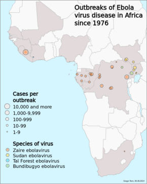 Bệnh Do Virus Ebola