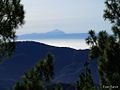 El Teide al fondo - panoramio.jpg