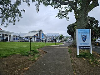 <span class="mw-page-title-main">Ellerslie School</span> State co-ed full primary (year 1-8) school