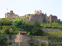 Les ruines du château et ses vignes.