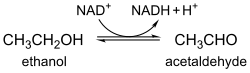 Alcohol dehydrogenase is a dimeric zinc metalloenzyme that catalyzes the reversible oxidation of alcohols to aldehydes Ethanol to acetaldehyde.svg