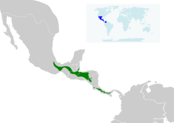 Distribución de Eupherusa eximia