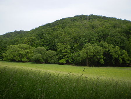 Fasslberg von Westen