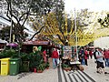 Festa da Flor 2019, Funchal, Madeira - IMG 20190503 173434