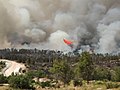 תמונה ממוזערת לגרסה מ־18:55, 23 במאי 2019