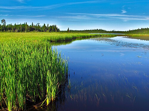 Fitzpatrick Bay in Northern Ontario