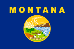 Our Montana Tie is modeled after the state flag of Montana