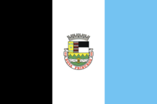 Flag of Nova Friburgo.png