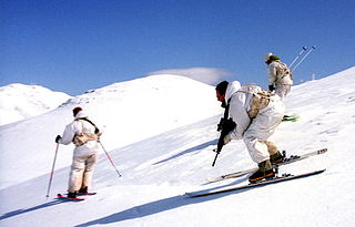 <span class="mw-page-title-main">Alpinist Unit</span> Military unit