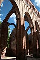 Flickr - blind.willow - Tartu, Dome Kilisesi 'ruins.jpg