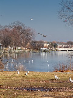 Essex, Maryland Census-designated place in Maryland, United States