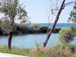 Foce del Sangro, en la reserva natural de Lecceta de Torino di Sangro