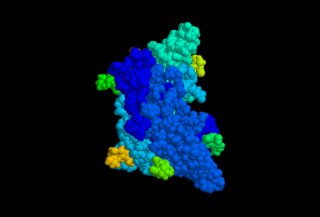 Follicle-stimulating hormone - Wikipedia