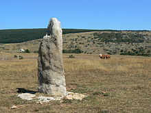 Un des menhirs de la Cham des Bondons.