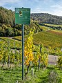 * Nomination Information board about the Riesling grape variety --Ermell 09:45, 9 January 2023 (UTC) * Promotion Good quality. --Isiwal 08:27, 10 January 2023 (UTC)