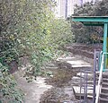 鳳凰溪的下游（2008年11月）