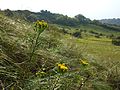 Haulesbergen, Lower Austria