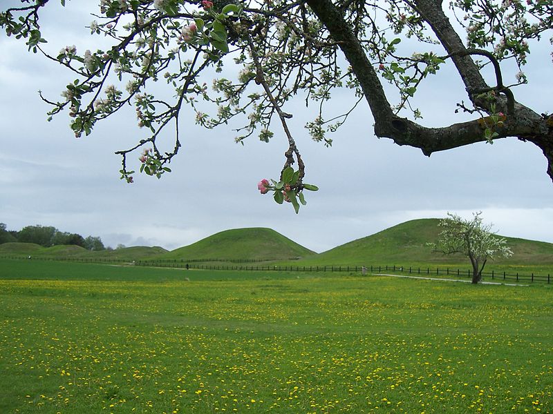 File:Gammla-Uppsala.jpg