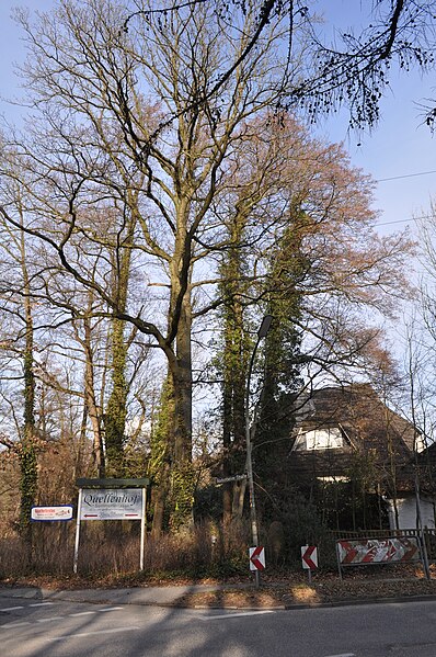 File:Gedenkstein Rodenbeker Straße (Hamburg-Bergstedt).Lage.ajb.jpg