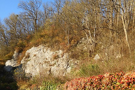 Gipskarst bei Berneburg (1)