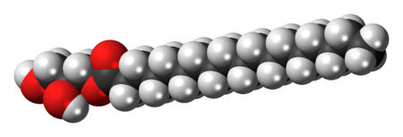 Space-filling model of the glycerol monostearate molecule