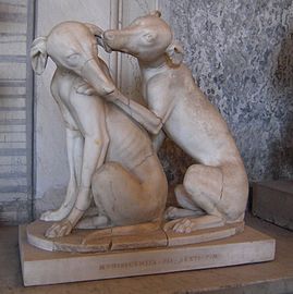 Greyhounds Playing, Roman stature, 2nd C. BC, Vatican Museums