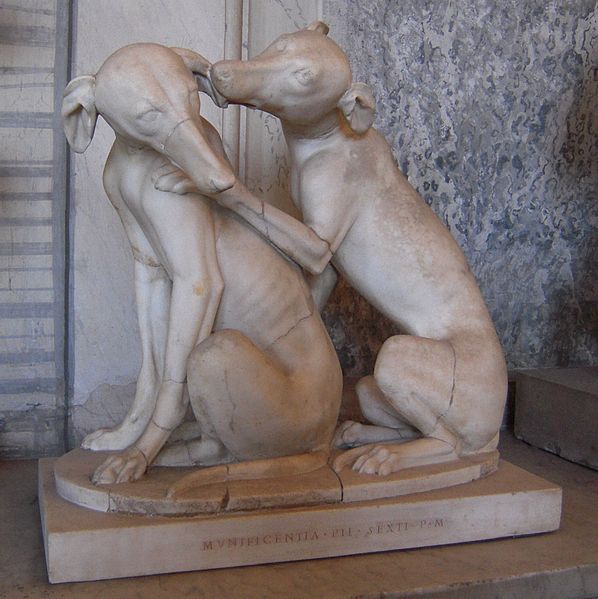 File:Greyhounds playing, Vatican.jpg