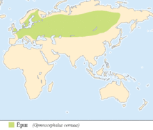 Utbreiinga av hork