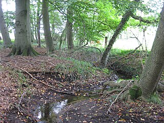 Kleinebach River in Germany