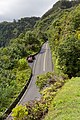 English: Hana Highway from Ke‘Anae Valley Lookout Park near Wailua, Maui County, Hawaii