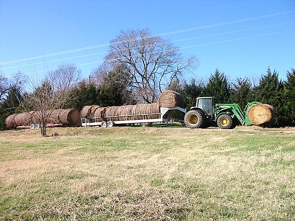 A rancher transports round bales of hay down a rural road in Grayson County, Texas: The economy of the county relies in part upon agriculture and ranc