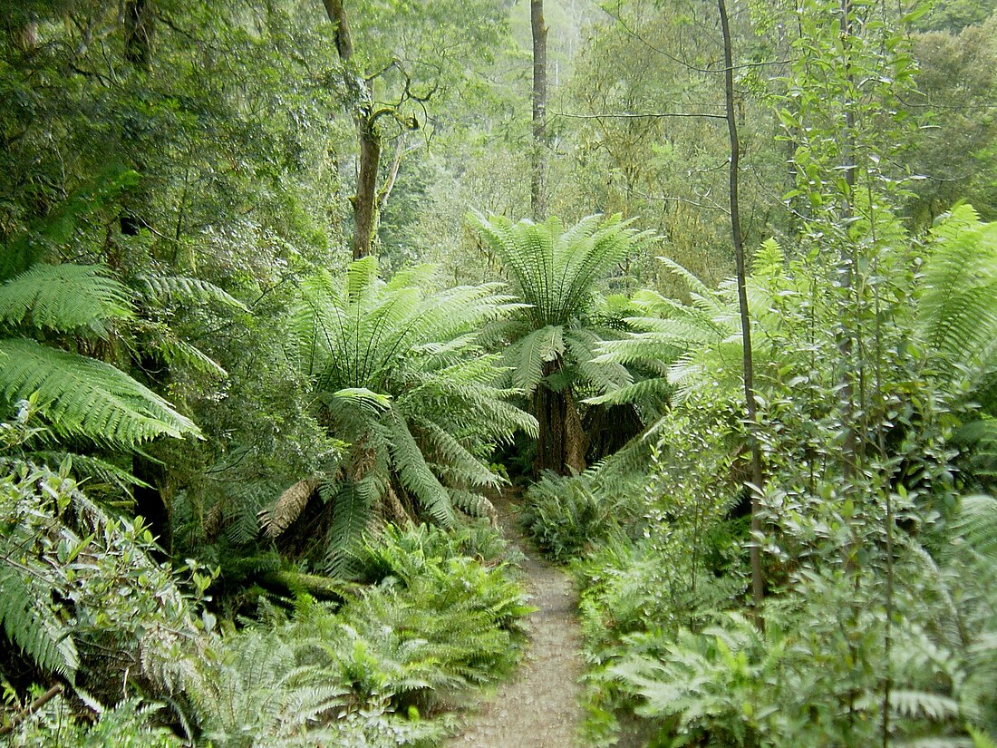 Hellyer Gorge