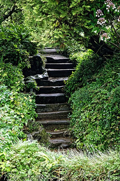 File:Highdown Gardens, Worthing, Cave Pond steps 1.jpg