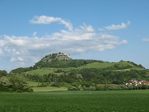 Hohentwiel 2009 Westansicht