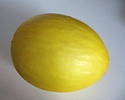 A Honeydew melon