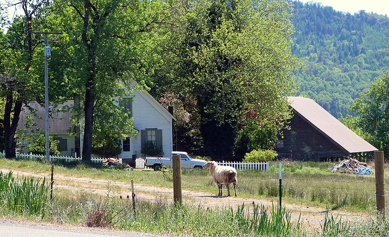 File:Hurst Farm - Sutherlin Oregon.jpg