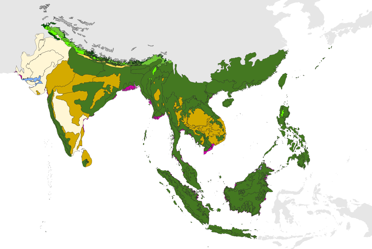 Ecoregions of the Indomalayan realm, color-coded by biome. Beige: deserts and xeric shrublands. Light brown: tropical and subtropical dry broadleaf forests. Green: tropical and subtropical moist broadleaf forests. Bright green: tropical and subtropical coniferous forests. light green: temperate broadleaf and mixed forests. Dark green: temperate coniferous forests. Light blue: flooded grasslands and savannas. Light purple: montane grasslands and shrublands. Magenta: mangroves.
